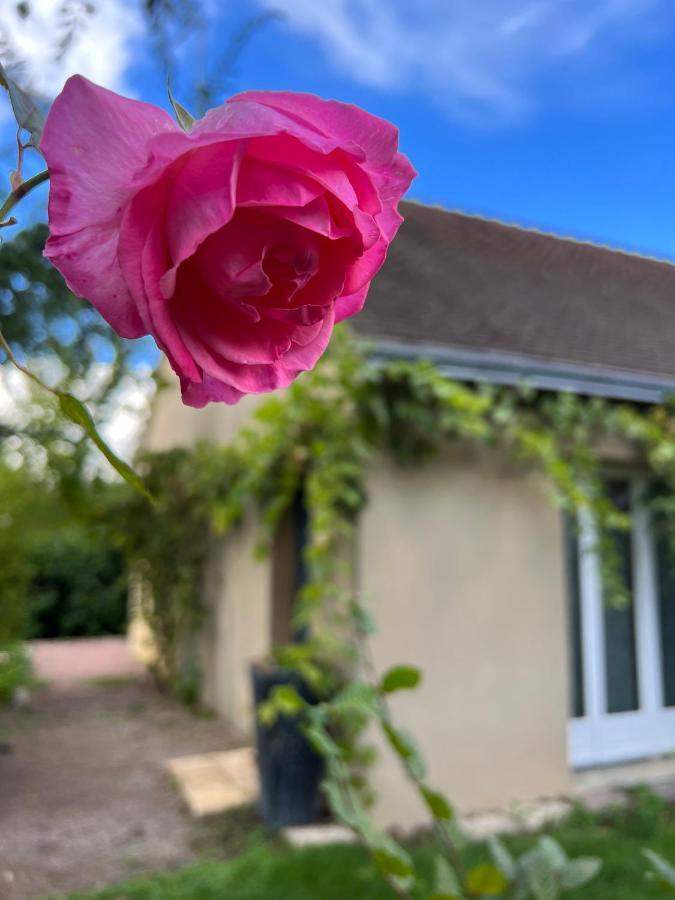 Gsand Le Clos Du May Le Poinçonnet Exteriör bild